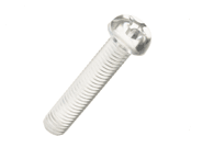Transparent screw [170]