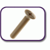 PEEK® countersunk screw [181] (181052570409)