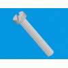 Slotted cheese head screw [536] (536022559902)